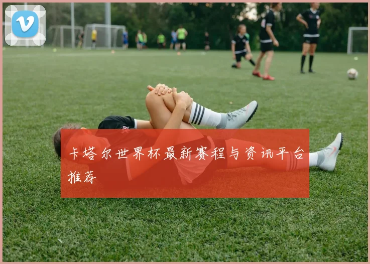 卡塔尔世界杯最新赛程与资讯平台推荐